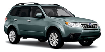 X Limited
