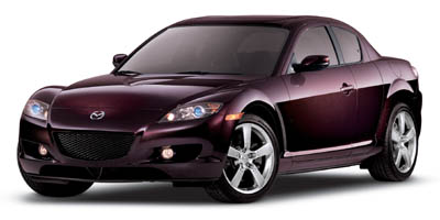 Shinka Special Edition 1.3