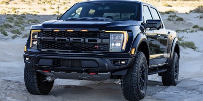 Raptor