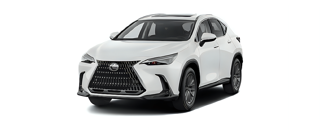 Lexus NX 2022 8