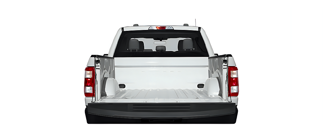 Ford F-150 2021 31