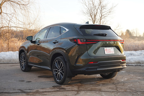 Editorial 2025 lexus nx 350h td jl 250507 19