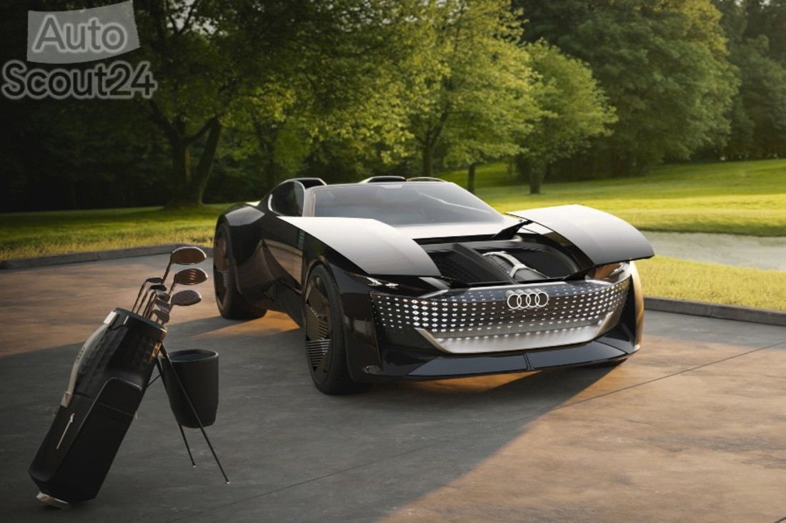 A215672_large (2).jpg