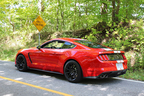Editorial 04 pb ford mustang shelby gt 350