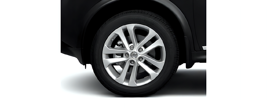Nissan Juke 2011 12