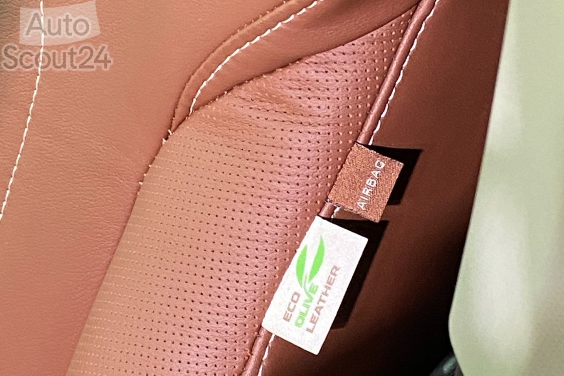 Skoda-Enyaq-iV-Madrid.25 (2).jpg