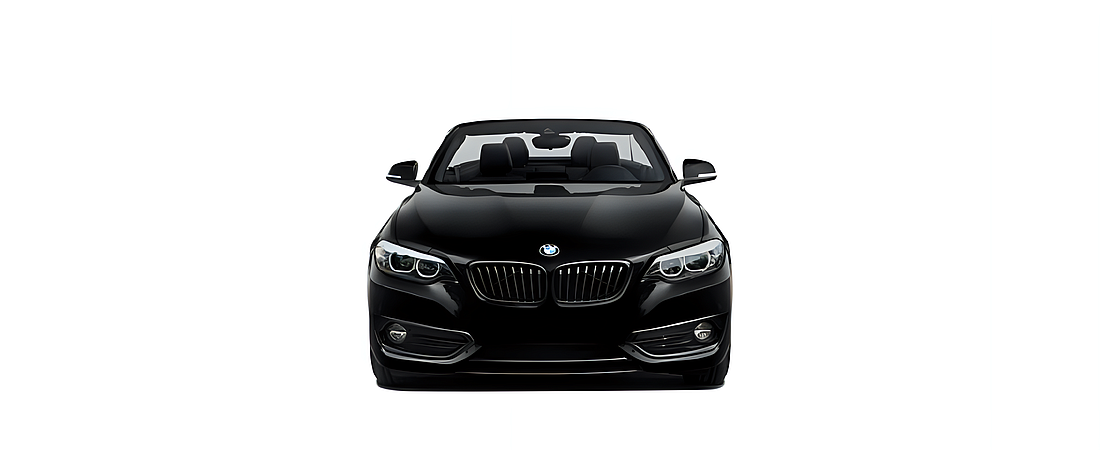 BMW 2 Series 2020 4