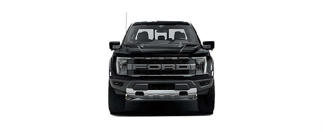 Ford F-150 2022 137