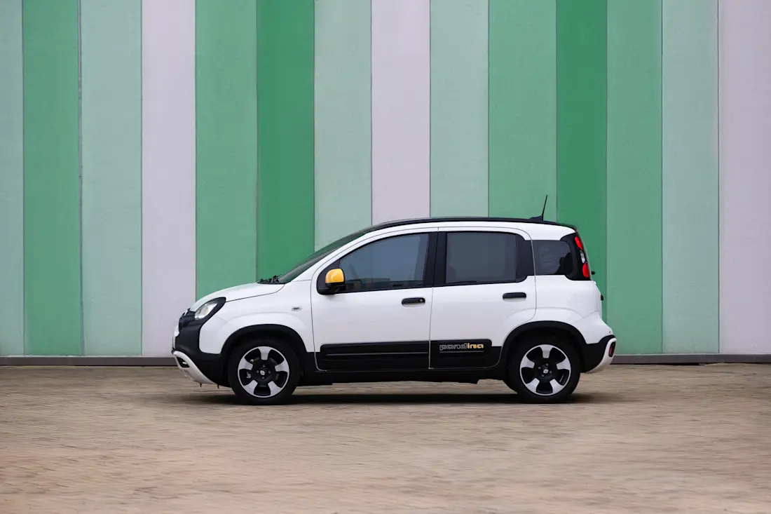 FiatPandina (1)
