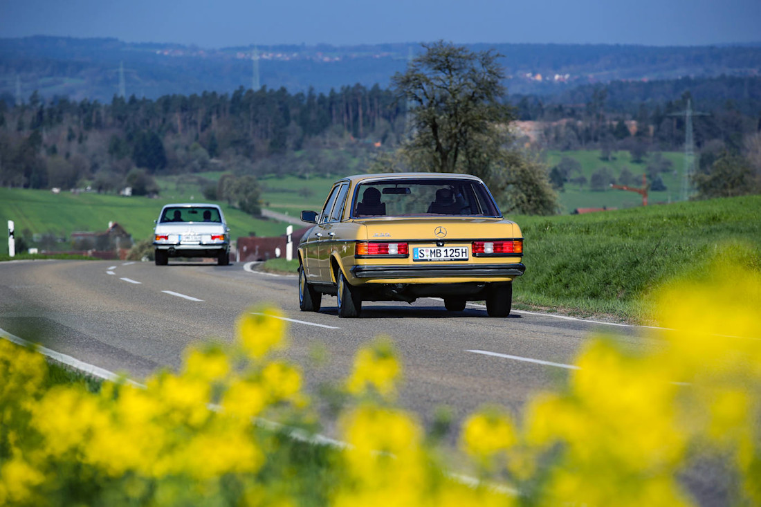 Mercedes-w123 (9).jpg