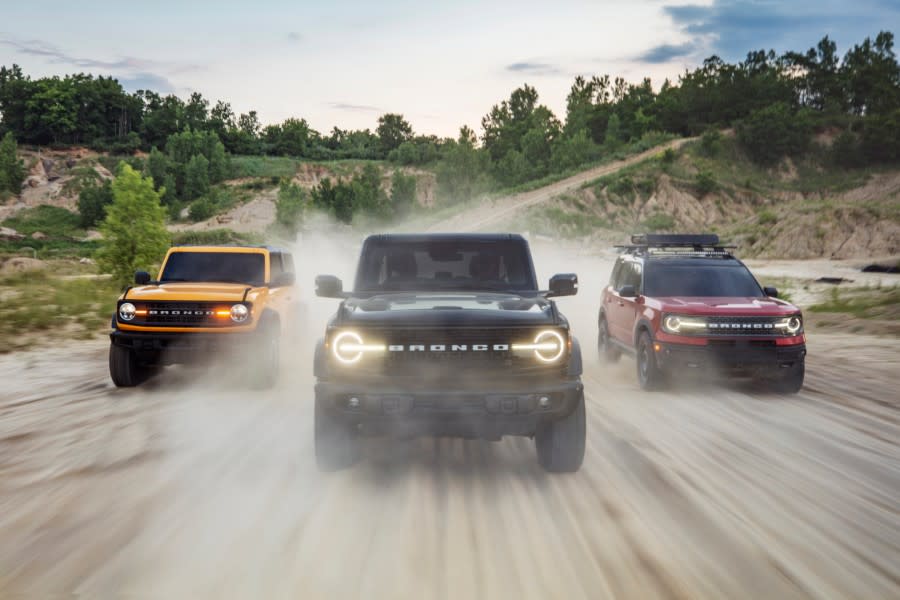 Bronco_Family_02. (1).jpg