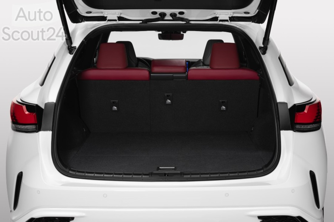 LEXUS RX 500h FSPORT WHITE - DETAIL - TRUNK - C - V2(1).jpg
