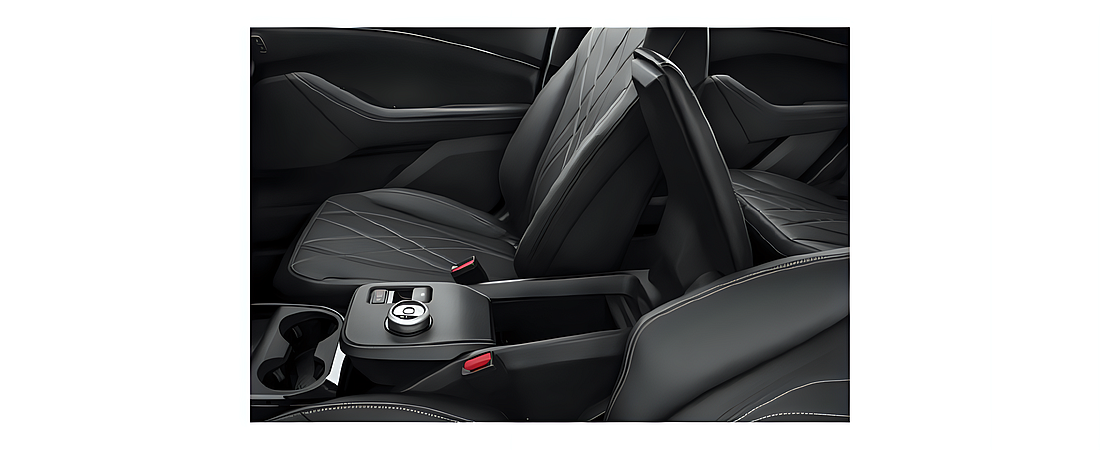 Ford Mustang Mach-E 2024 12