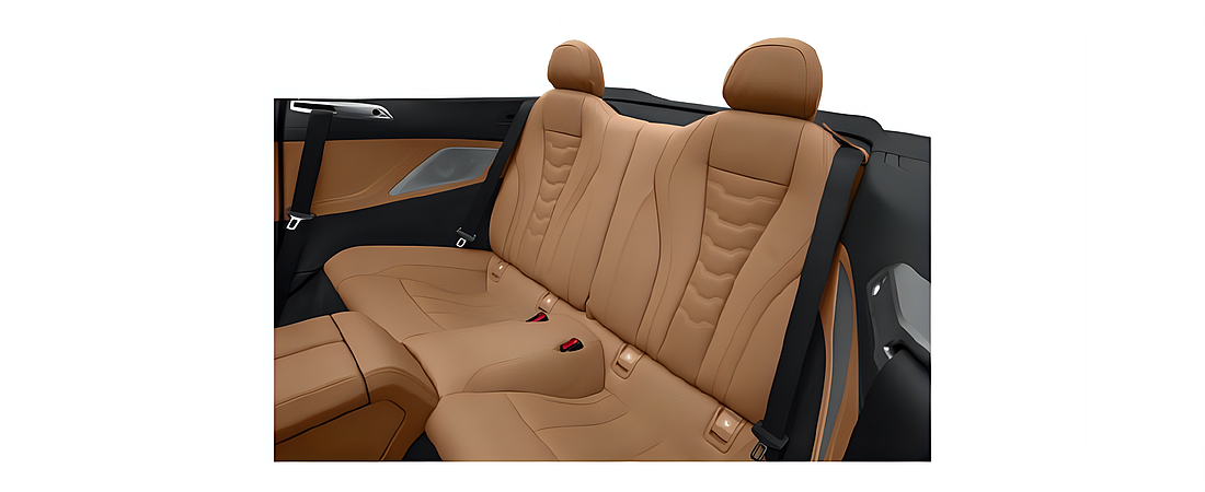BMW 8 Series 2019 15