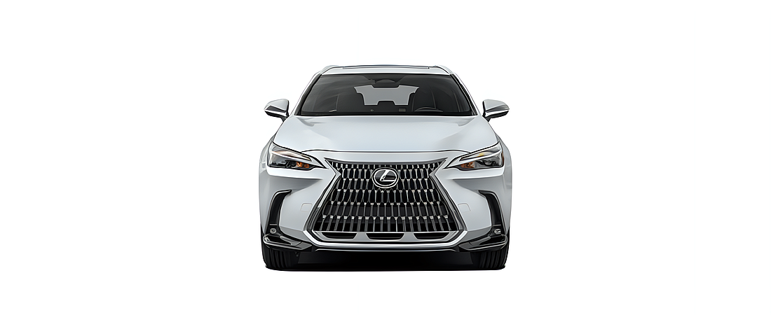 Lexus NX 2024 6