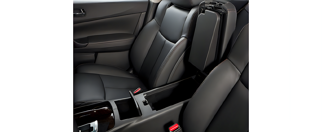 Nissan Maxima 2010 16