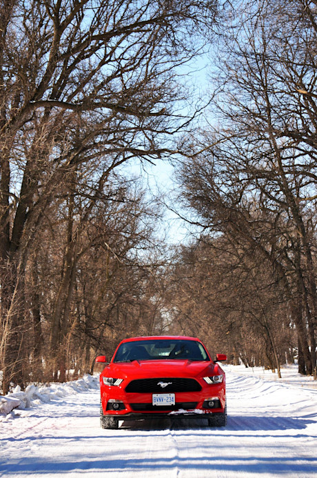 Editorial 2015 ford mustang ecoboost hl 08
