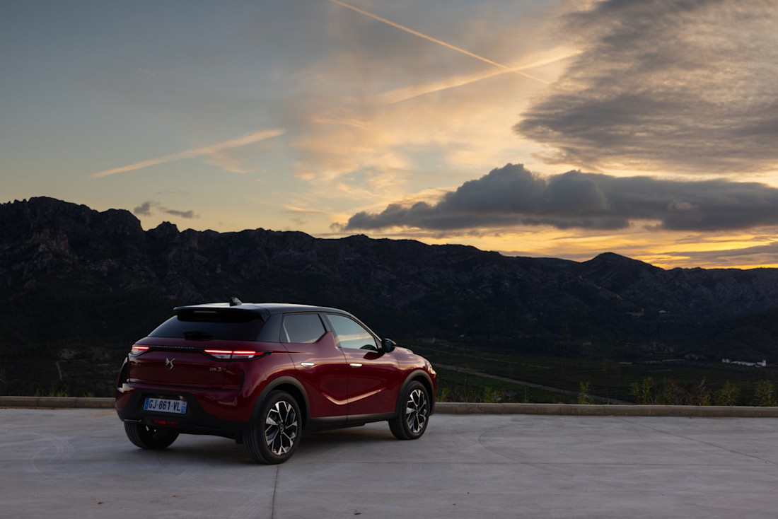 ds-3-2023-7.jpg