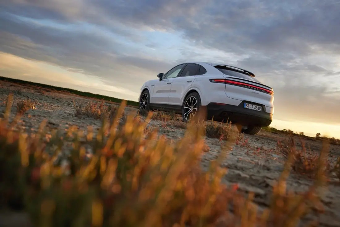Cayenne 2023 04 Cayenne 2023 04