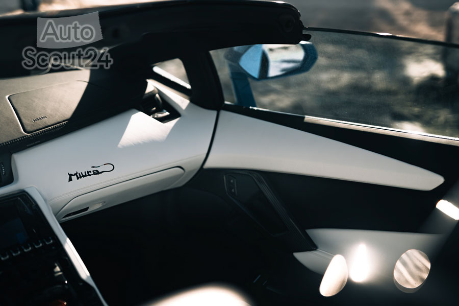 Lamborghini-Aventador-Ultimae-Roadster (9).jpg