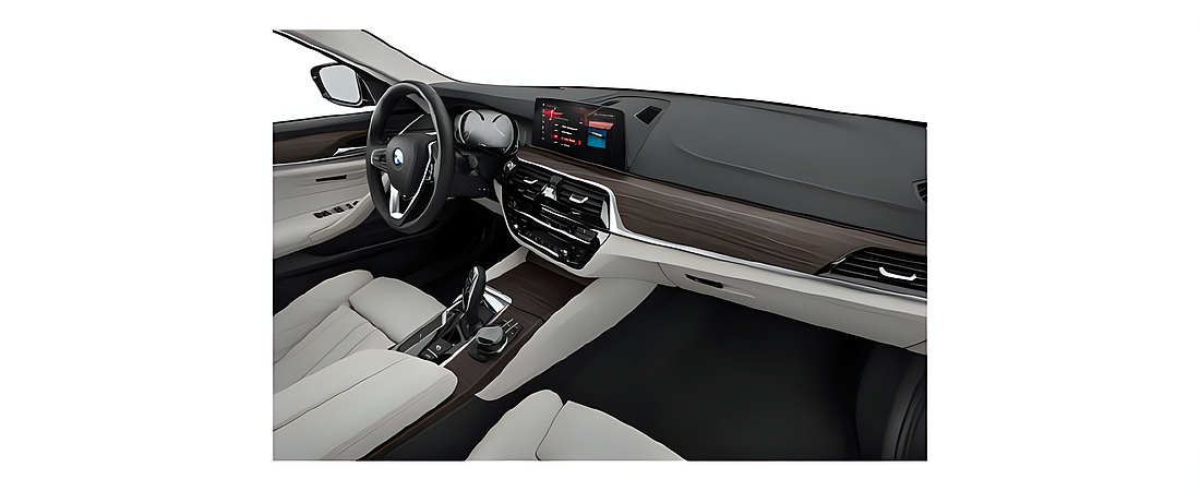 BMW 5 Series 2019 14