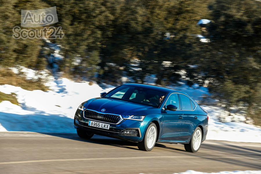skoda-octavia-iv (24).JPG