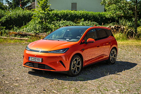 byd-dolphin-g-dm-i-2026-titelbild.jpg