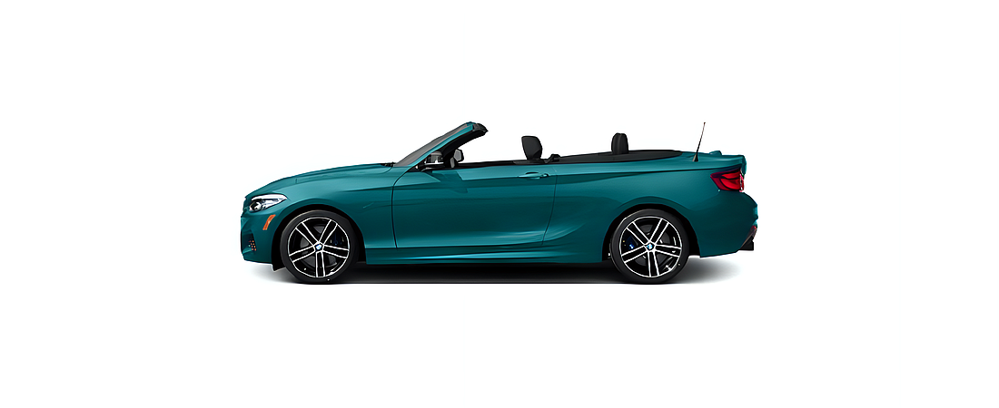BMW 2 Series 2020 39