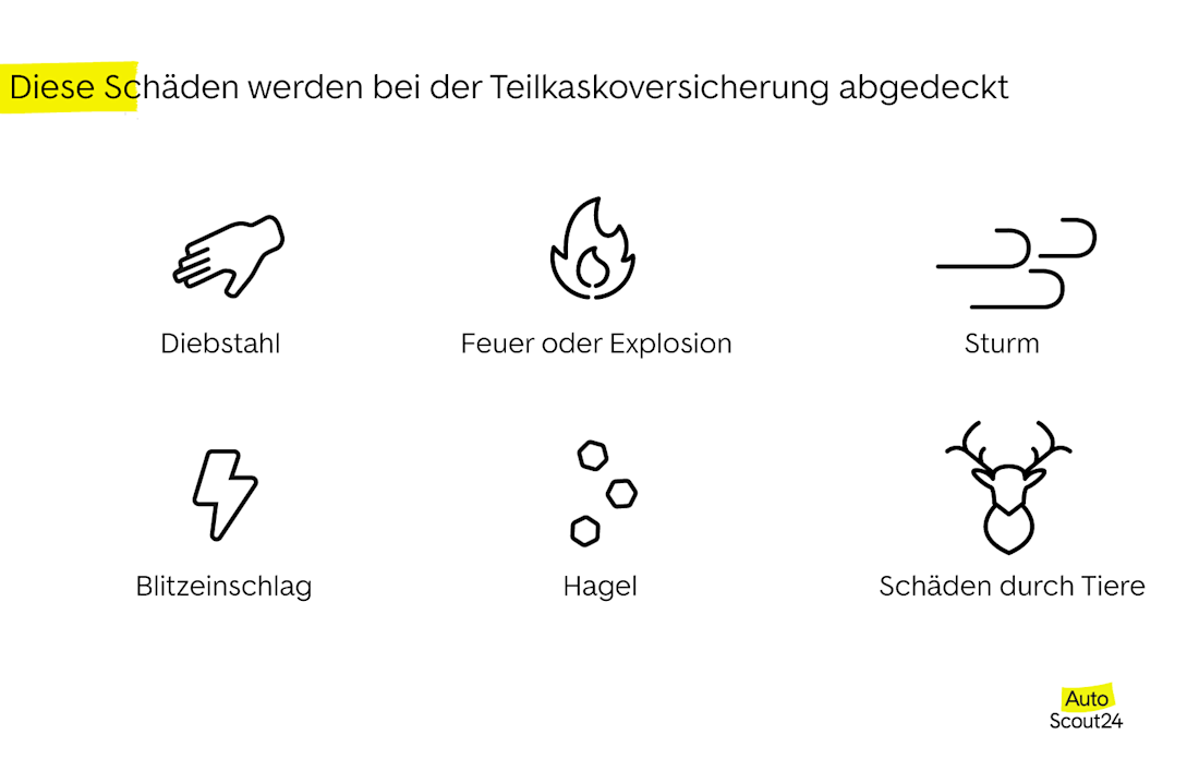 Diese Schäden werden bei der Teilkaskoversicherung abgedeckt
