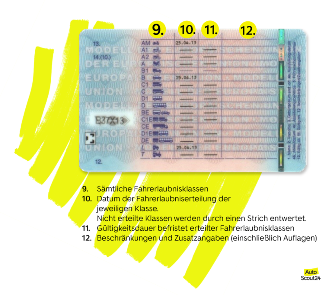 Hier stehen die Führerscheinklassen auf dem Führerschein Hier stehen die Führerscheinklassen auf dem Führerschein
