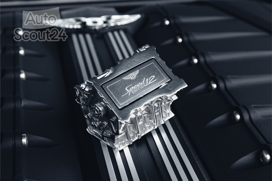 Speed Edition 12 - W12 Engine  Artefact - 1.jpg