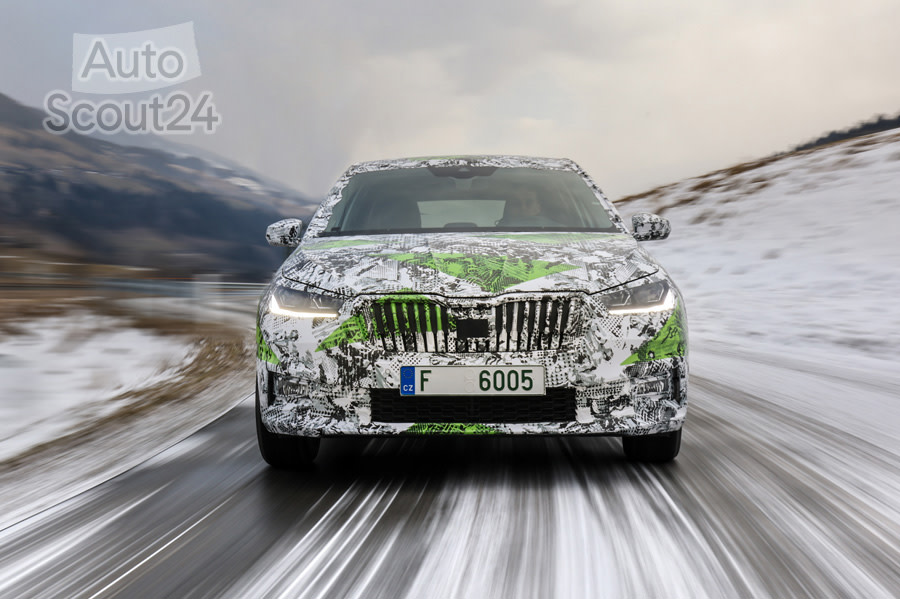 skoda-fabia-2021 (2).jpg