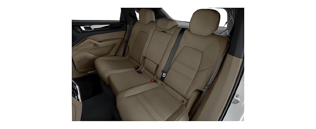Porsche Cayenne 2021 25