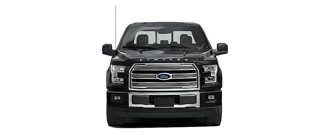 Ford F-150 2017 198