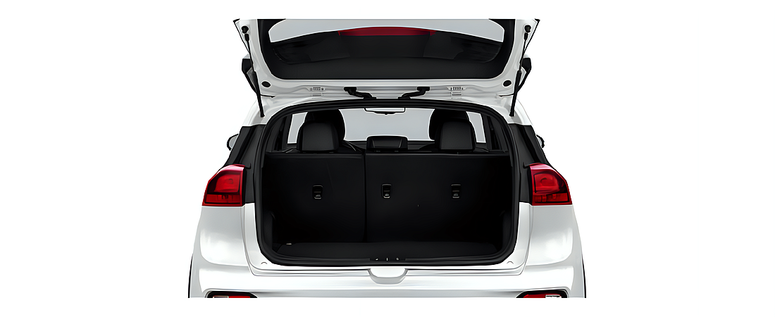 Kia Niro EV 2021 10