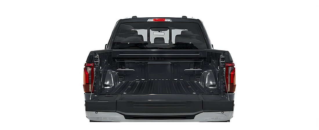 Ford F-150 2025 100