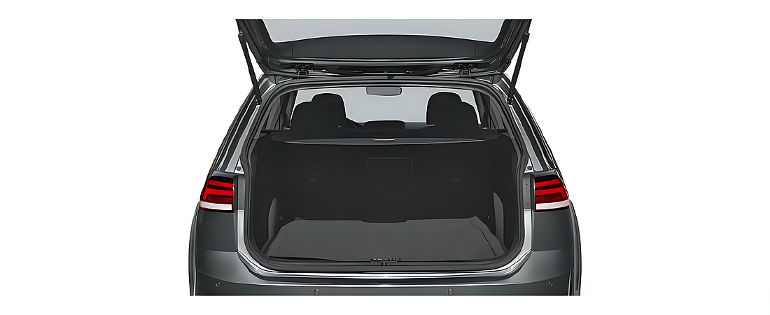 Volkswagen Golf Alltrack 2019 11