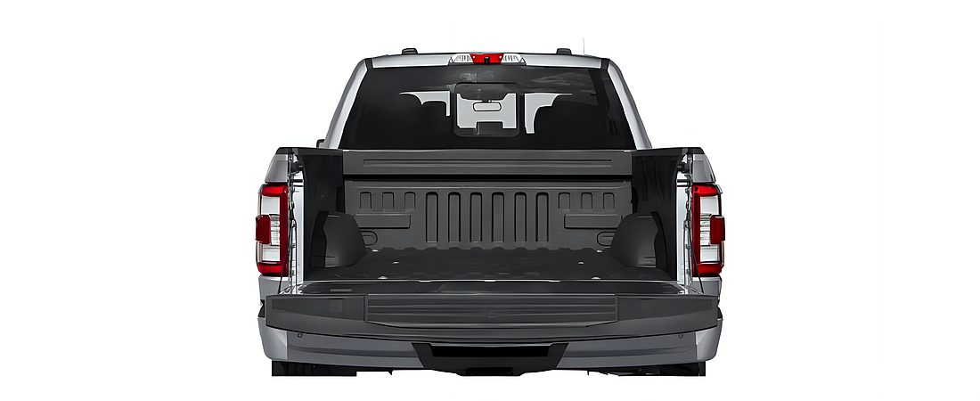 Ford F-150 2021 95