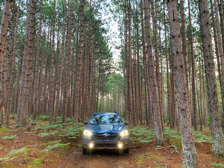 Editorial 2022 subaru outback wilderness 06 mg