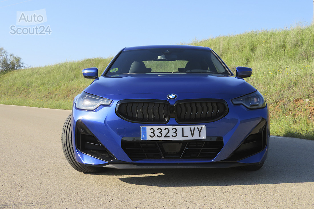 4_BMW_220i Coupé.JPG