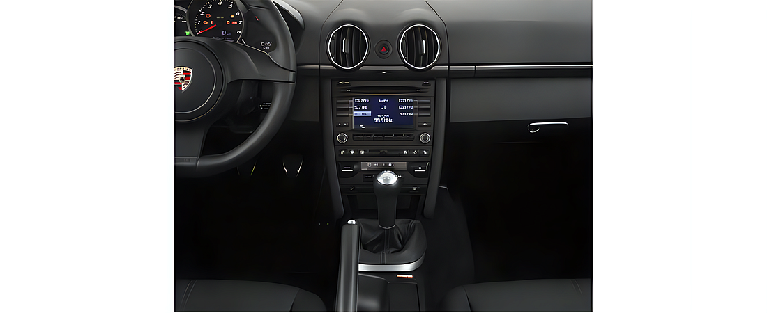 Porsche Cayman 2010 11