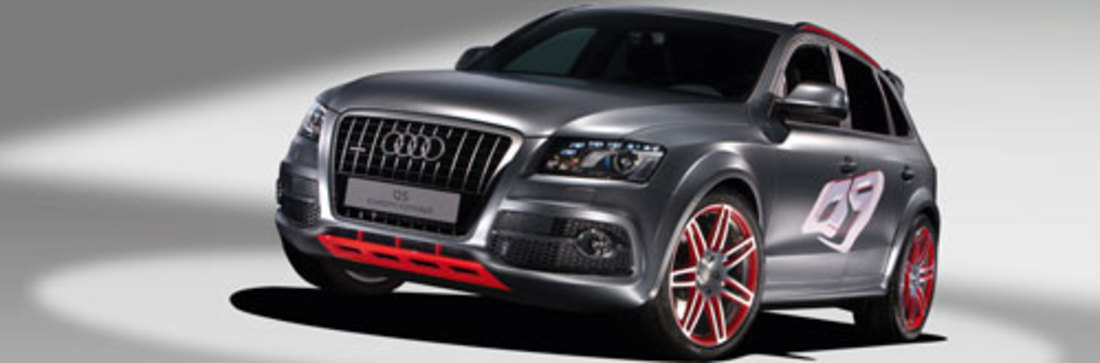 Presentazione: Audi Q5 Custom Concept – Audi Q5 Custom Concept