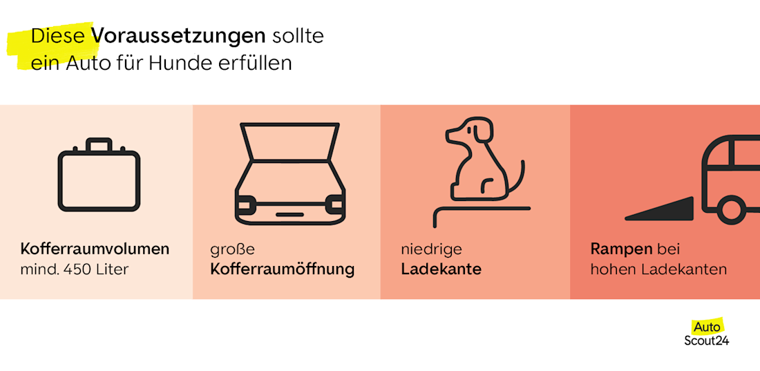 Voraussetzungen für Hundeautos