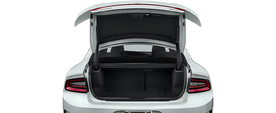 Dodge Charger 2016 74