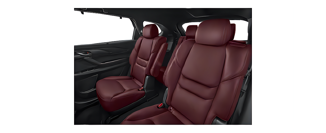 Mazda CX-9 2023 51