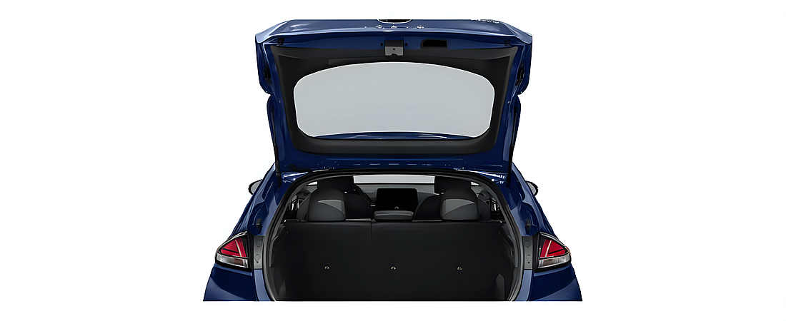 Hyundai Ioniq Electric 2021 12