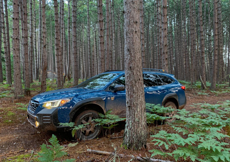 Editorial 2022 subaru outback wilderness 09 mg