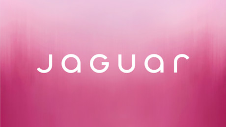 Jaguar-1