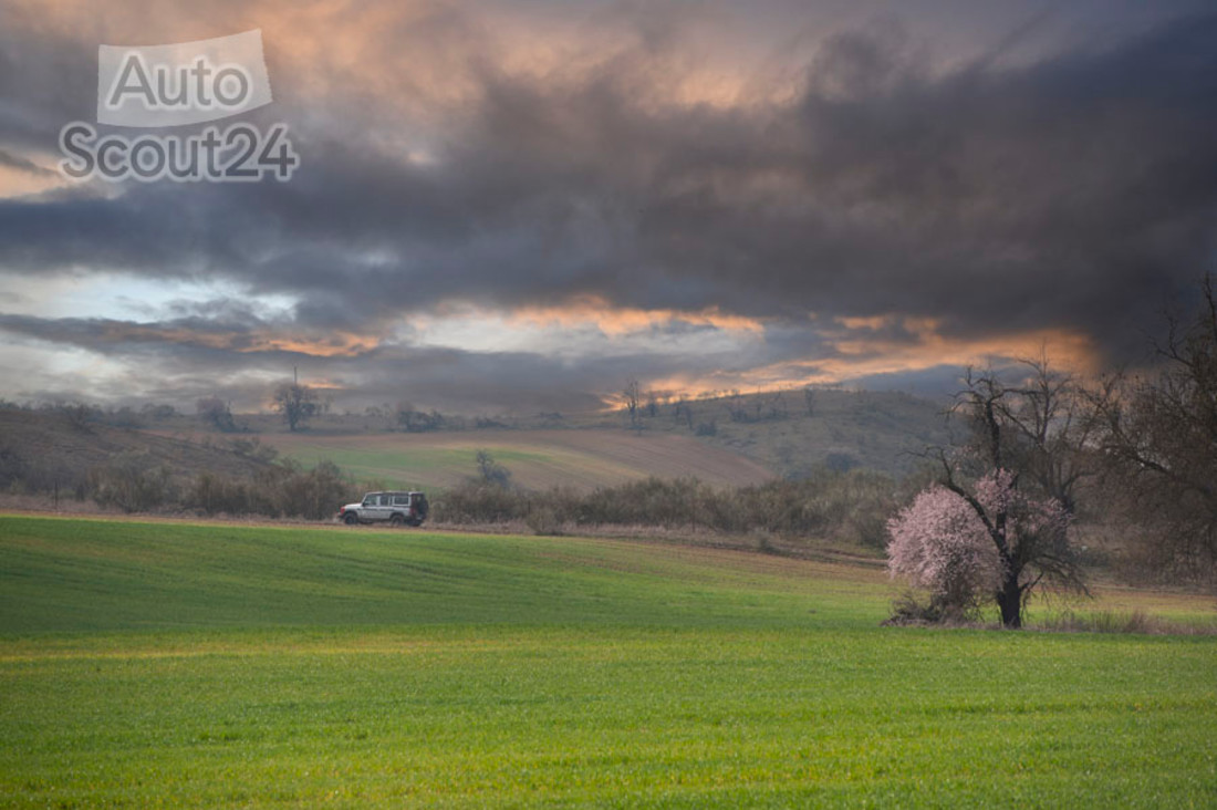 ineos-grenadier (9).jpg