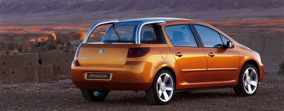 2LEankwTbE14SQgLxtj0j7-e33dad49dd2712693790f0d6145ce6c6-peugeot-307-l-03-1100